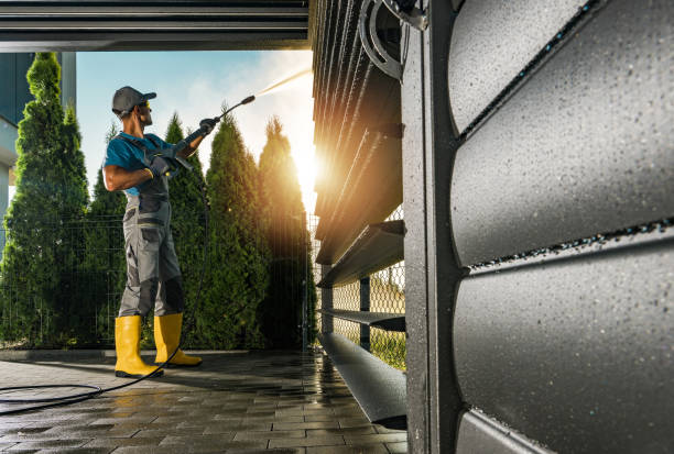 Best Soft Washing for Delicate Surfaces in Mentone, IN
